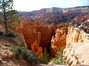 101  Bryce Canyon.JPG
